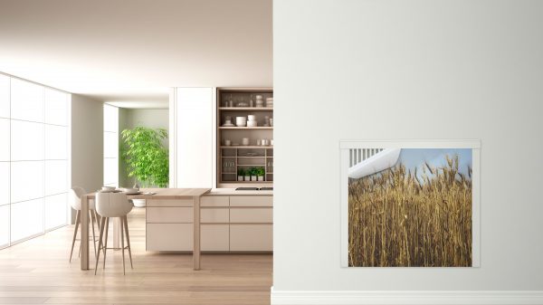 Z-Design – Bild 4